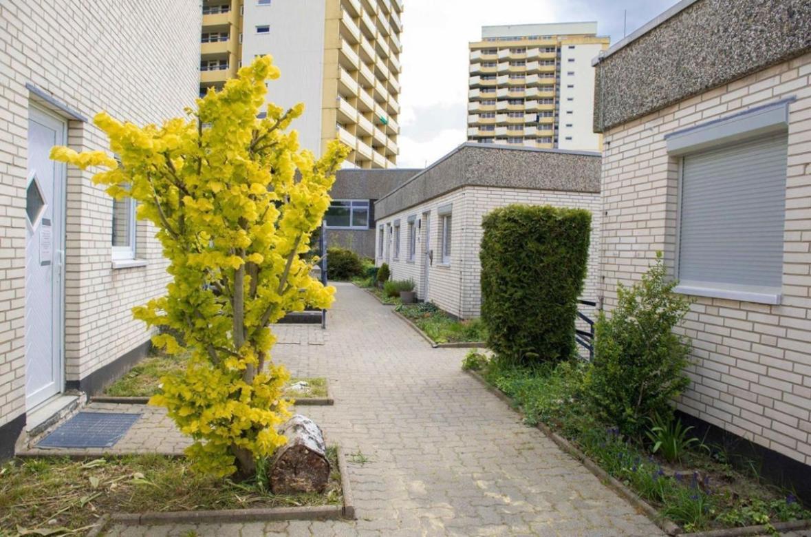 Ferienwohnung 479 Mit Schwimmbad,Sauna Und Bar In Panoramic Hohegeiss Браунлаге Экстерьер фото